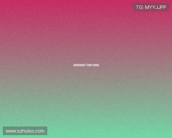 命运的齿轮：关于“5颗子弹”的沉思录